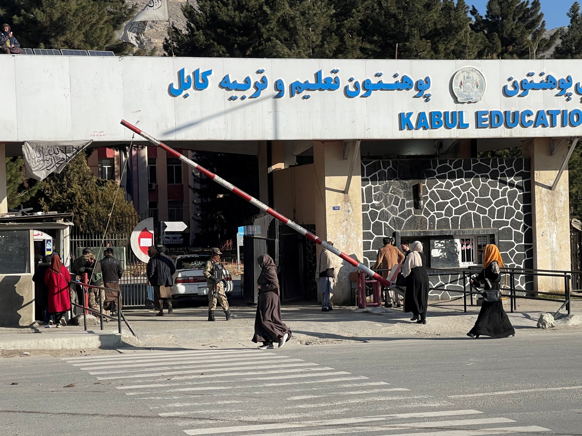 Taliban's ban on girls' education leaves millions out of school in Afghanistan