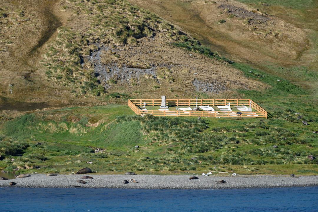 Featured image for Antarctic Explorer's Grave Blocked by Hundreds of Dead Seals