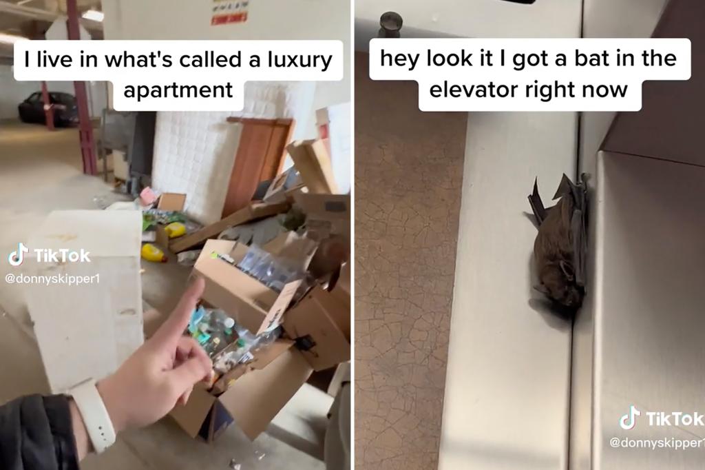 Featured image for Evicted for Filming Bat Infestation in Luxury Apartment