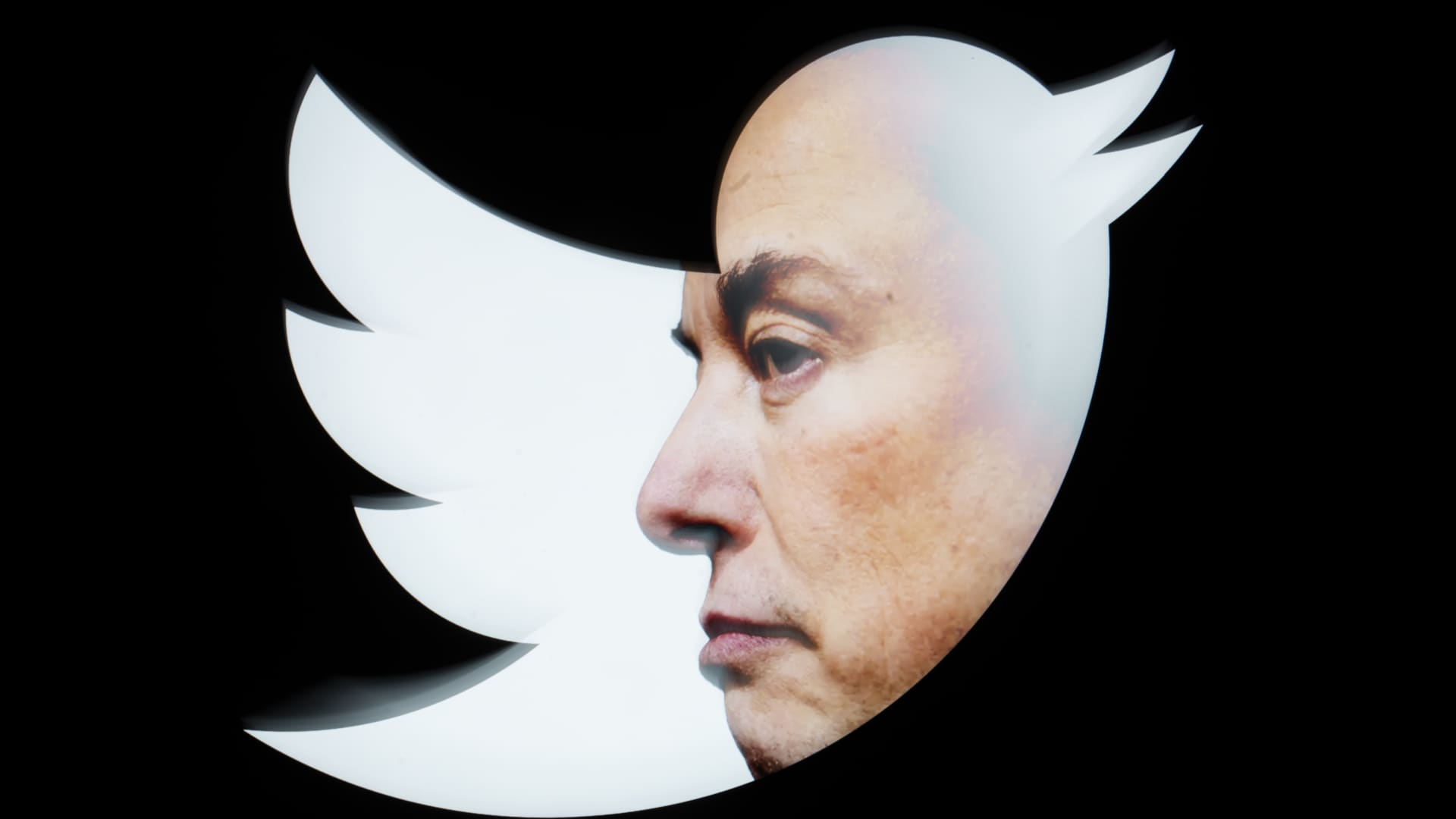 Nonprofit Leader Vows to Continue Exposing Twitter's Problems Despite Musk Lawsuit