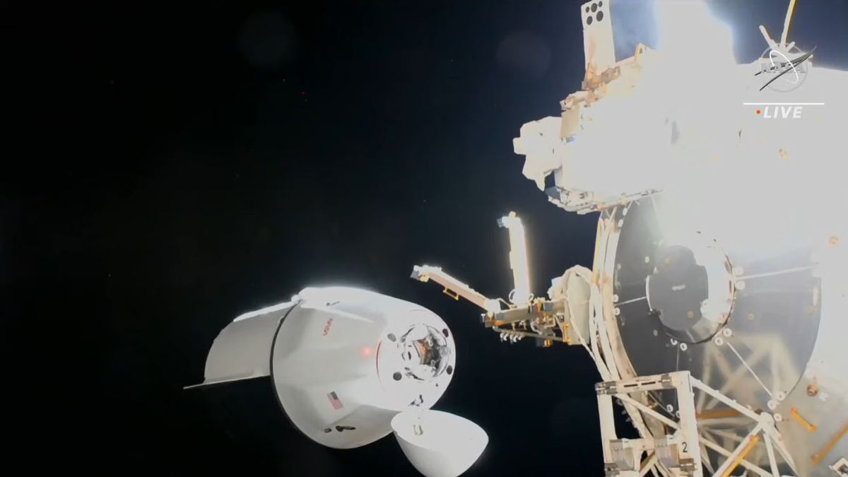 SpaceX Dragon brings back space-grown tomatoes and heart study results.