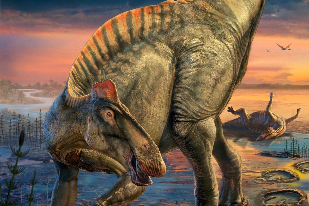 Featured image for Remarkable Dinosaur Mummies with Skin and Hooves Discovered in Wyoming