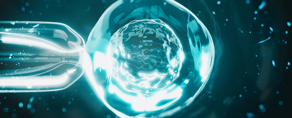 Featured image for Scientists Create Human Eggs from Skin Cells in Breakthrough