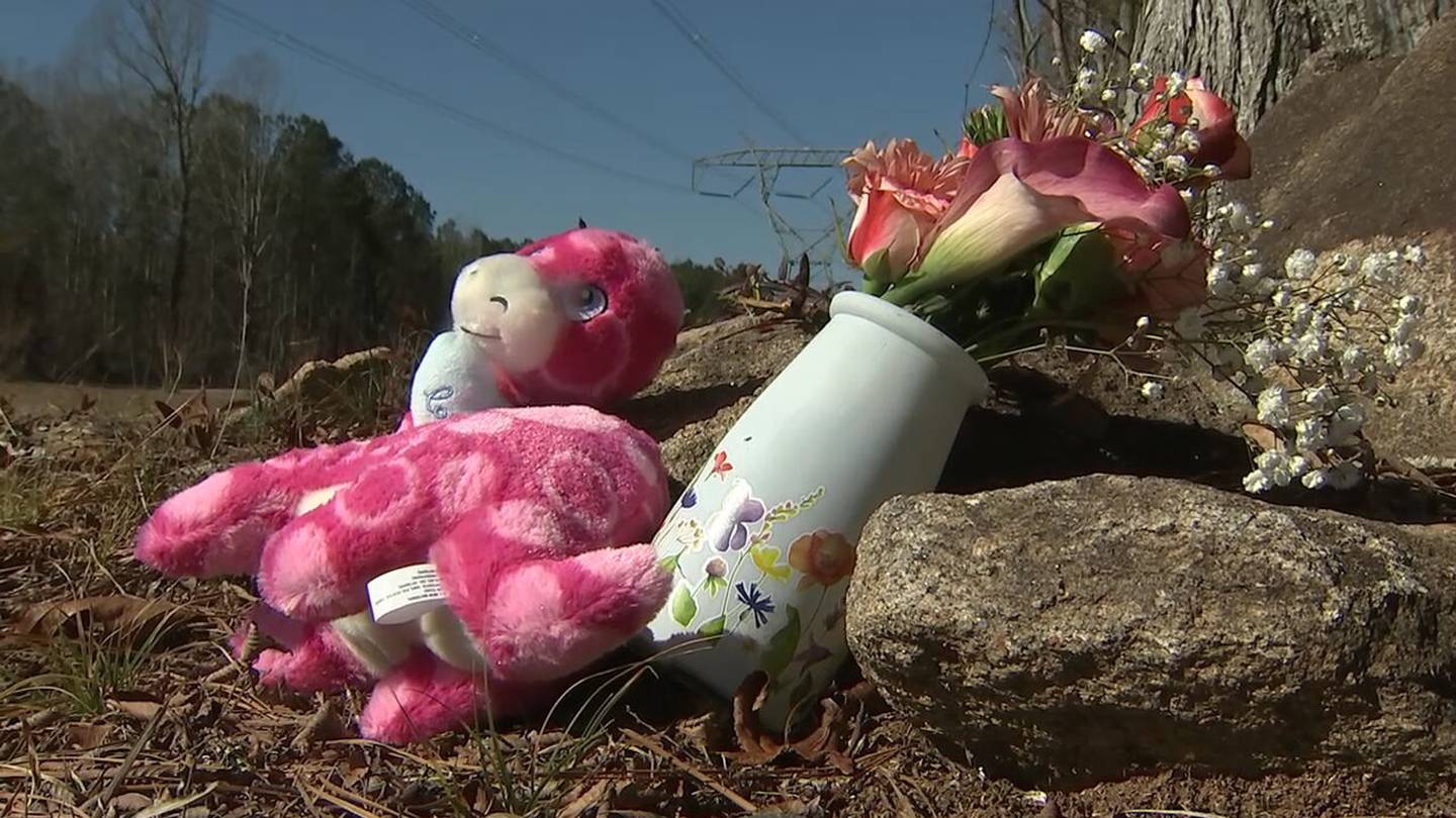 Featured image for Tragic Accident: 8-Year-Old Girl Fatally Struck While Boarding School Bus