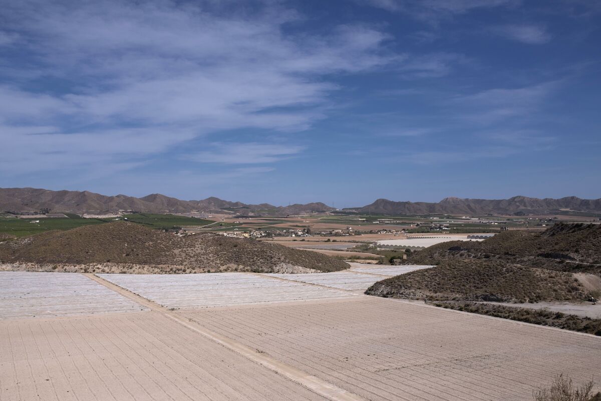 Spain's Drought Crisis Sparks Battle Over Water Resources in Europe