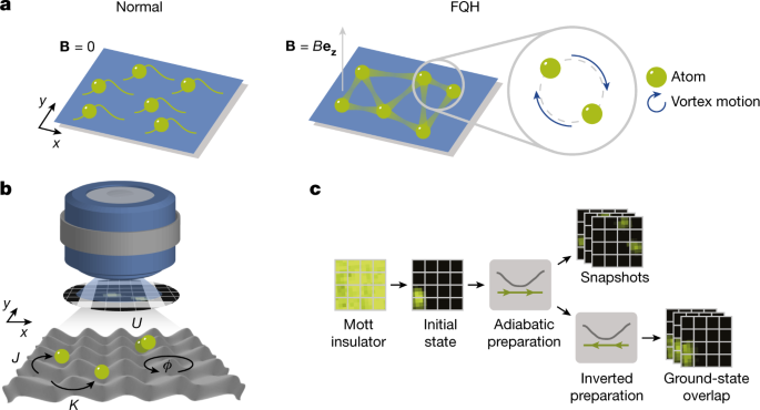 Featured image for Ultracold atoms achieve fractional quantum Hall and Laughlin states