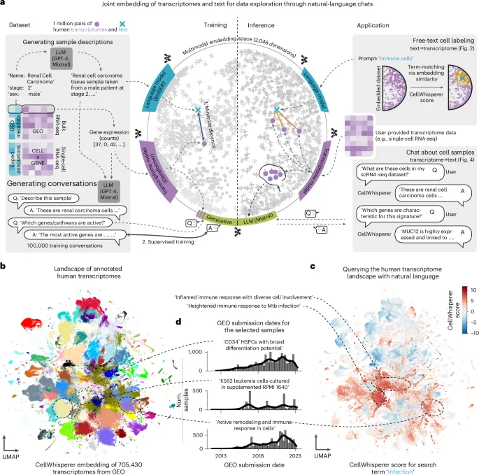 Featured image for Chat-Based Exploration of Single-Cell Data Through Multimodal Learning
