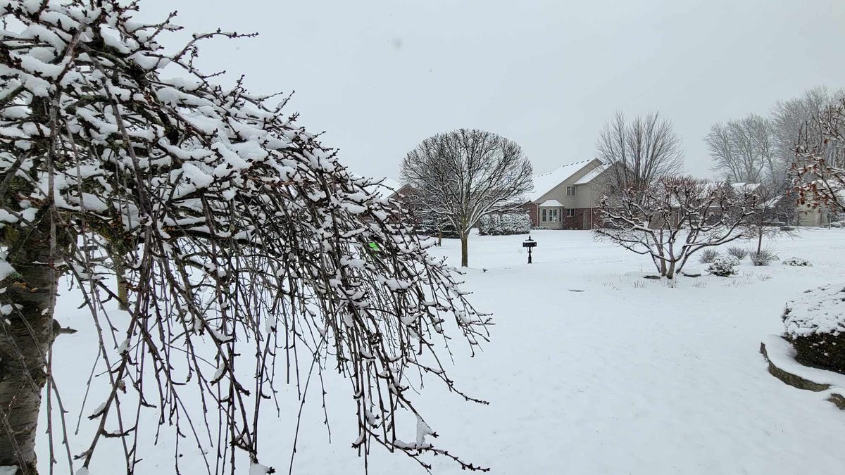 Featured image for "Winter Storm Impact: Snow Accumulation Totals and Road Conditions in Southeast Michigan"