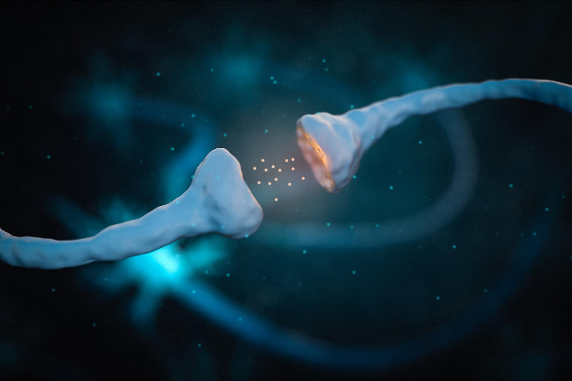 Featured image for Scientists Identify Brain Circuit for Female Sexual Rejection