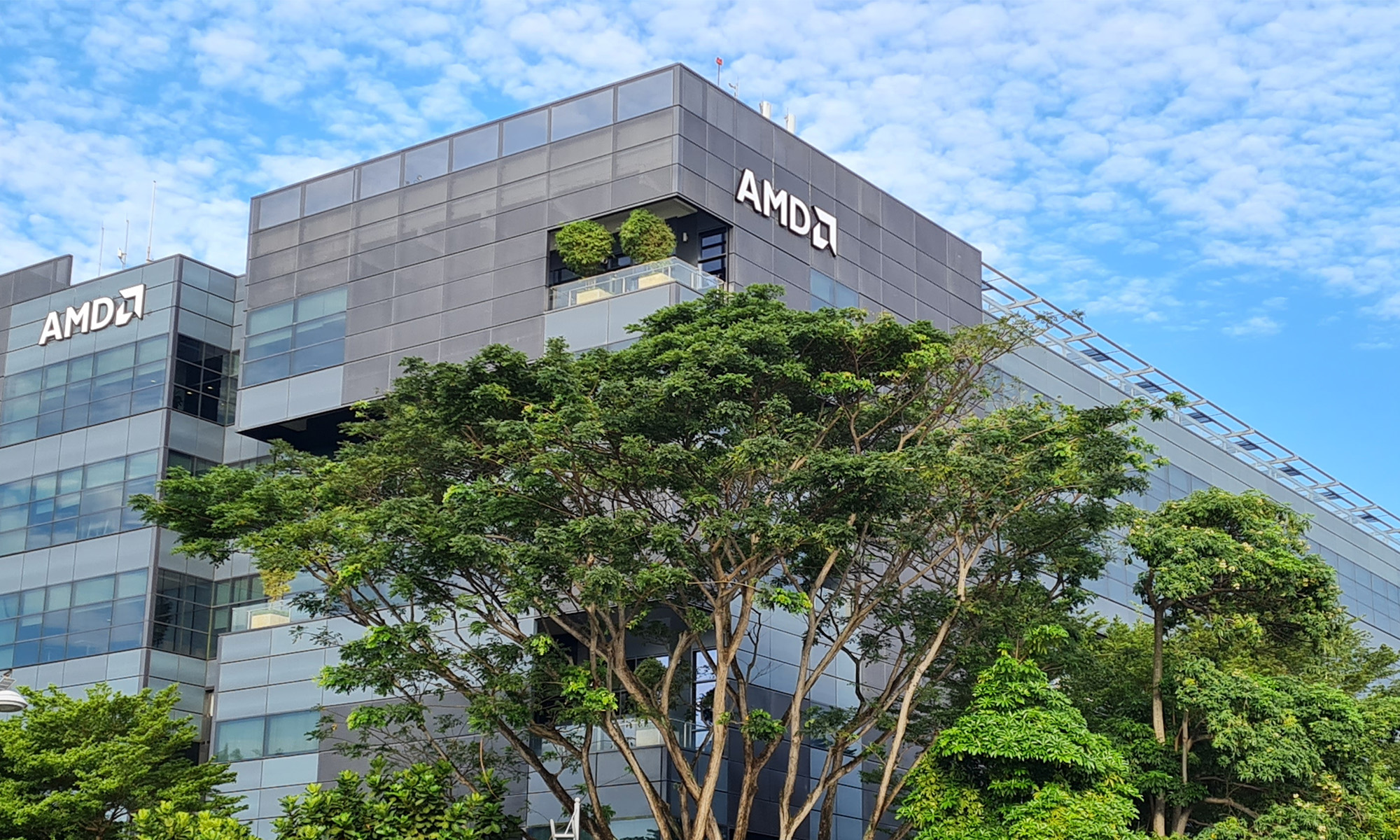 "AMD Stock Surges on Bullish AI Chip Demand and Raised Price Target"