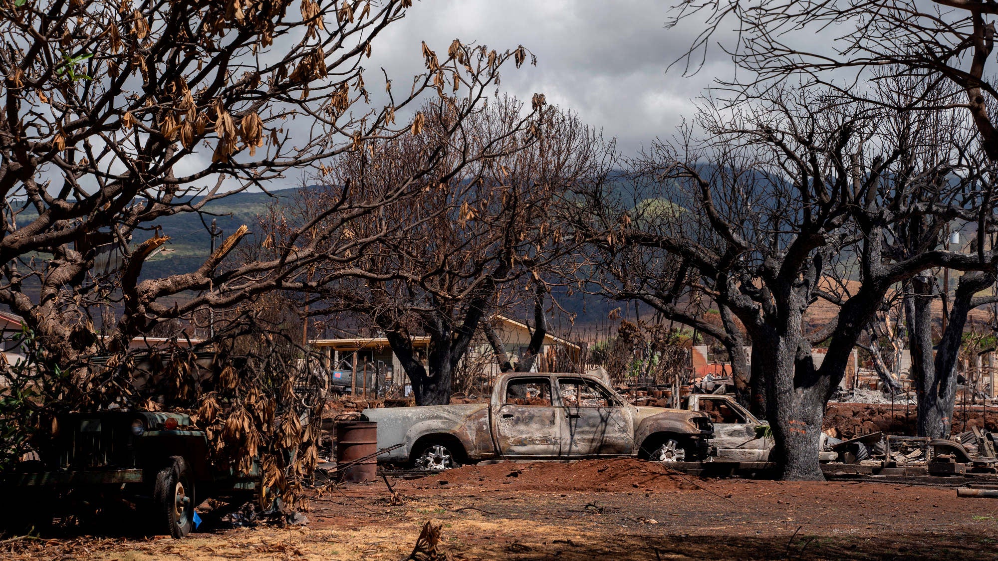"Hawaii Governor Establishes $150M Fund for Lahaina Fire Victims and Families"
