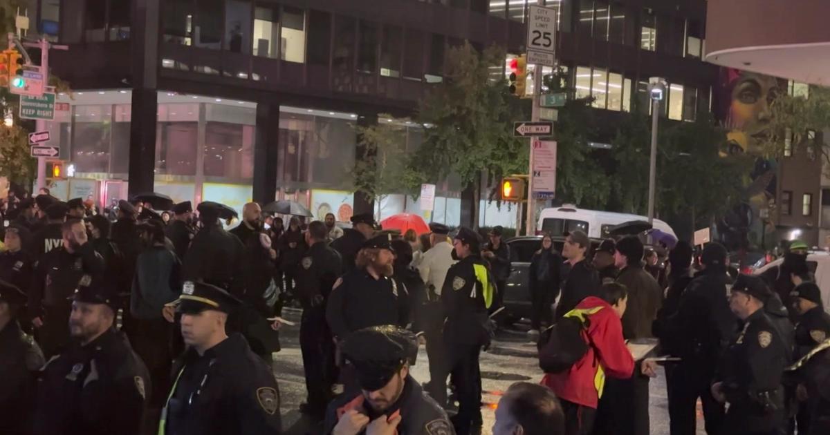"Mass Arrests at NYC Protests Demand Ceasefire in Gaza"
