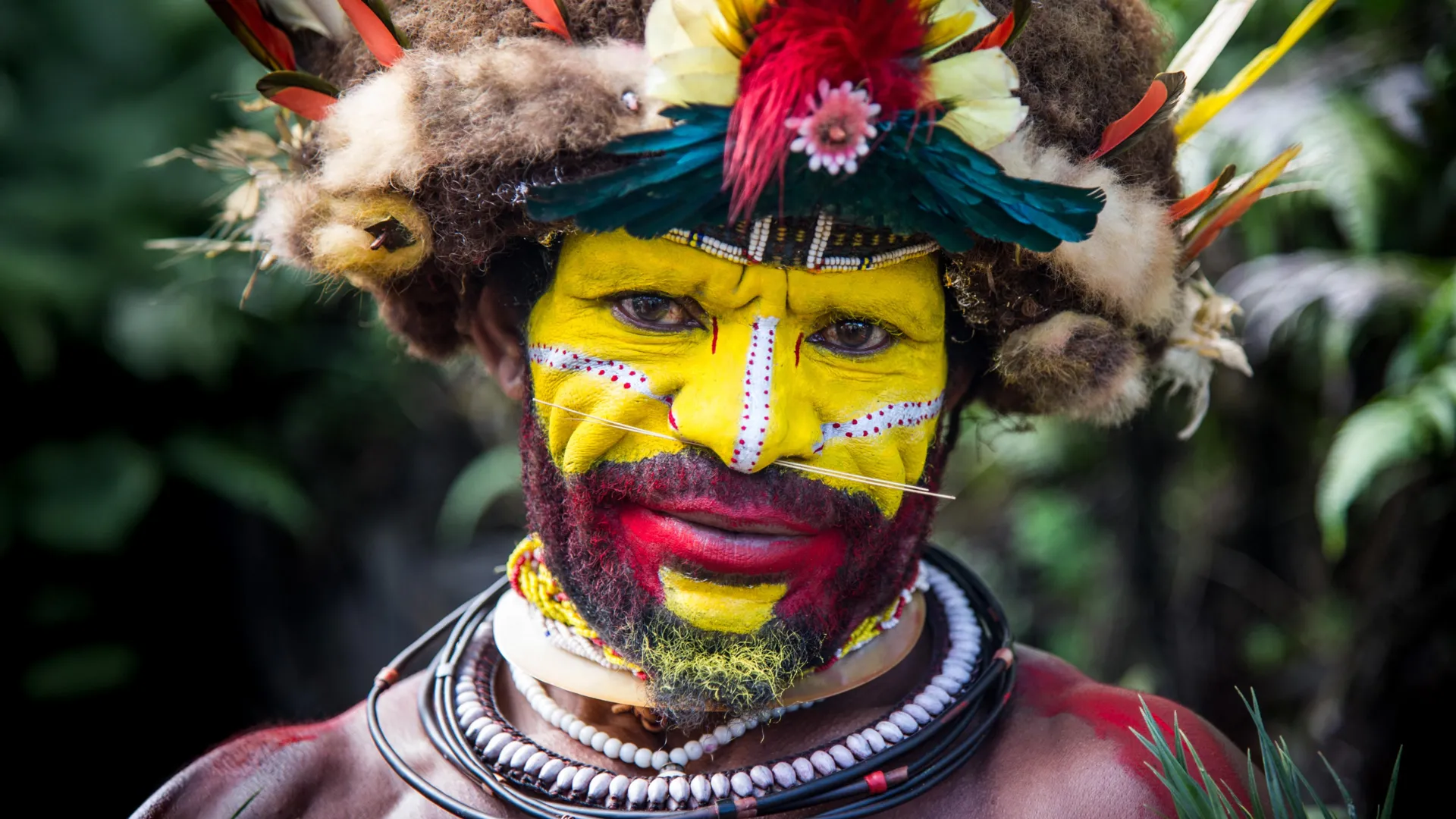 Featured image for New DNA Study Unveils Papua New Guineans' Unique Origins