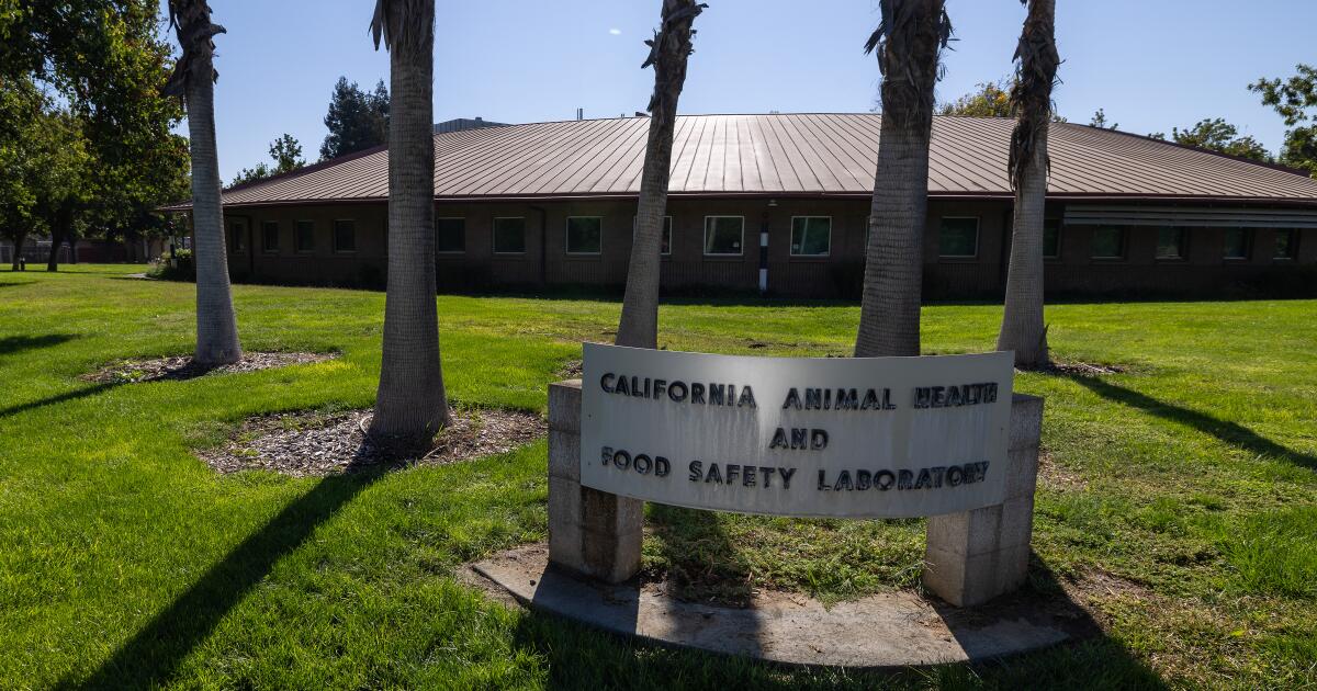 Featured image for California Lab Staff Overwhelmed by Rising Bird Flu Cases
