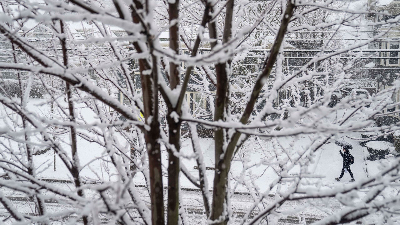 "Nor'easter Brings School Closures and Snow Sweeps Across Northeast"