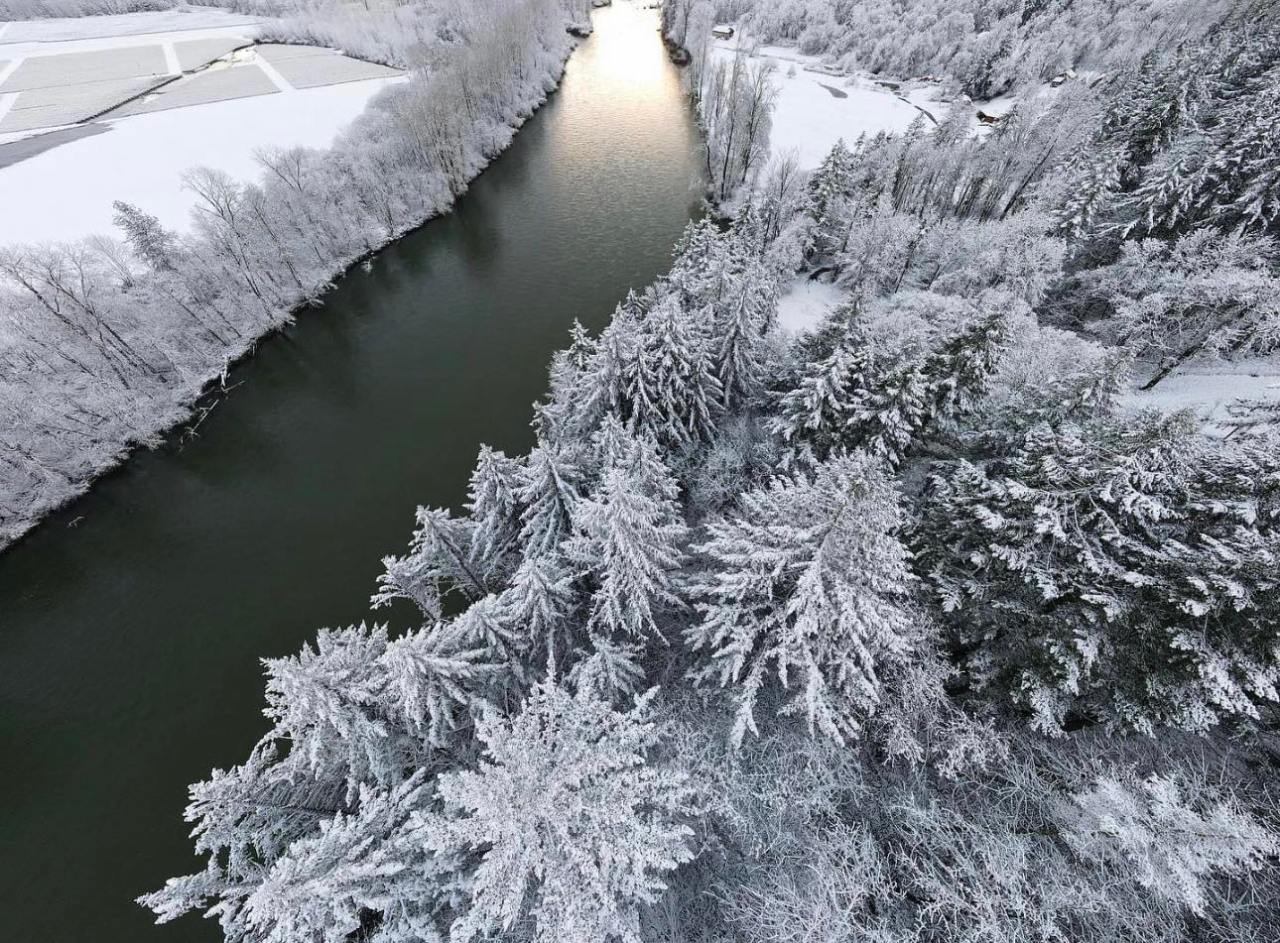 The White Christmas Forecast for 2023: What to Expect