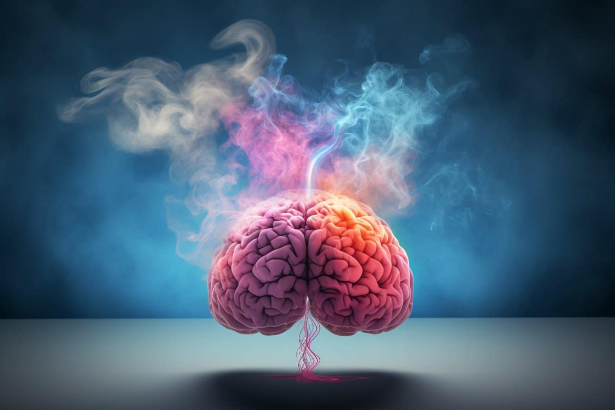 Featured image for "The Impact of Odors on Decision Making in the Brain"