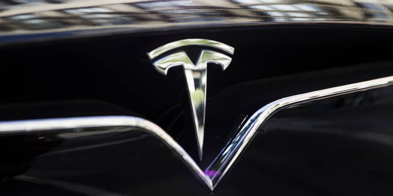 Featured image for Turkish President Erdogan Urges Elon Musk to Establish Tesla Factory in Turkey