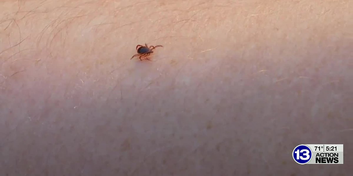 Featured image for Tick Season Alert: Increased Risk and Nymph Infestation Warnings