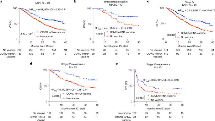 Featured image for mRNA COVID Vaccines Enhance Cancer Immunotherapy Effectiveness