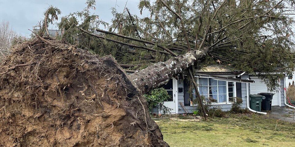 Devastating Storm Leaves Charlotte Area in Ruins