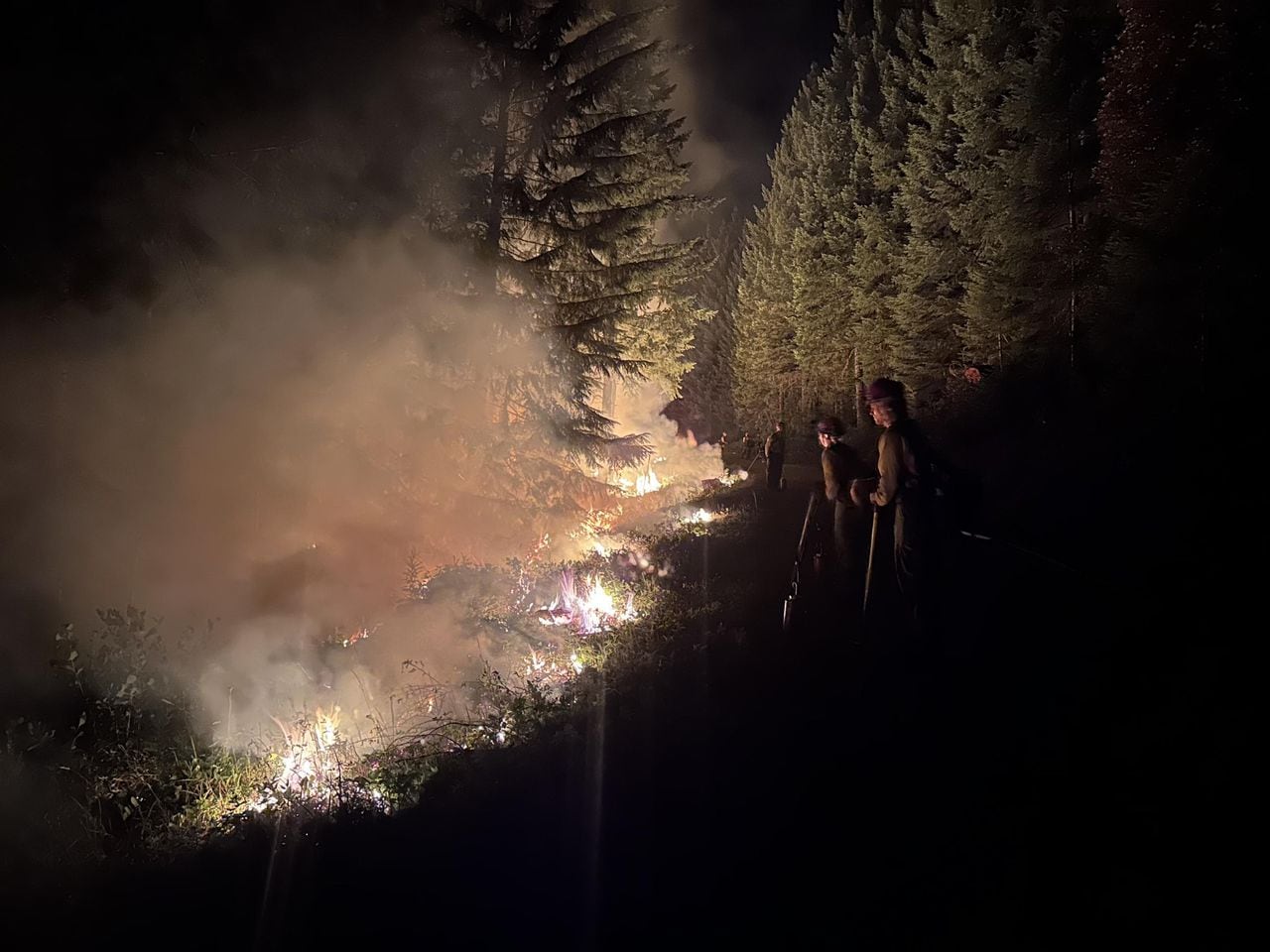Featured image for Wildfires Force Urgent Evacuations in Lane County