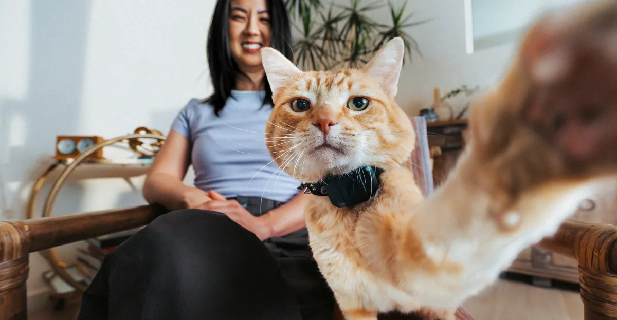 Featured image for Fi Mini Pet Tracker Offers GPS in Compact Design