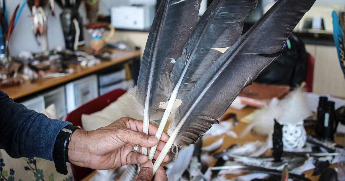 Featured image for Man to Plead Guilty in 'Killing Spree' of Birds, Including Bald Eagles