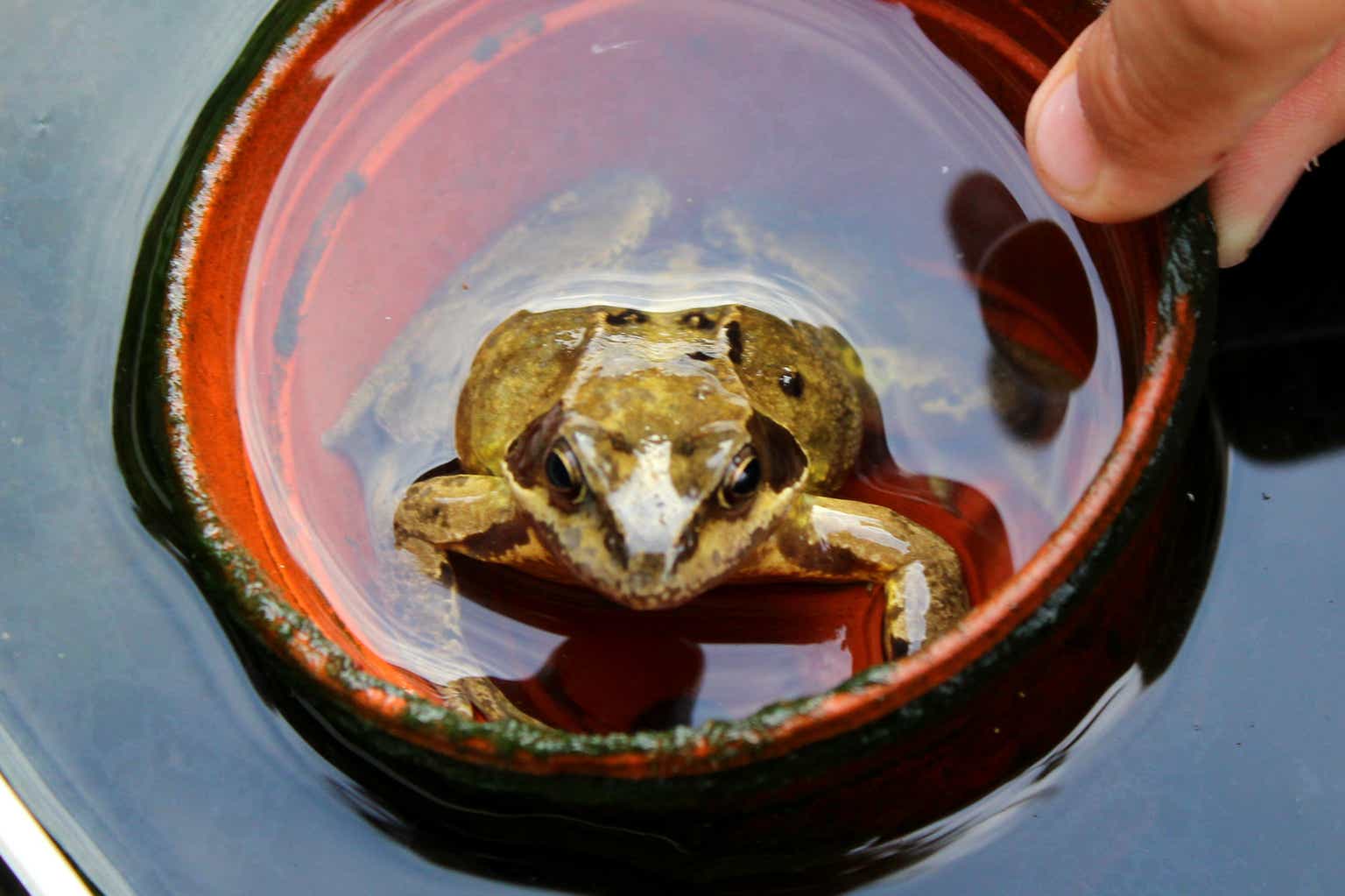 Navigating the Trade-Off: Dividend Stocks vs. Treasuries in a Rising Yield Environment