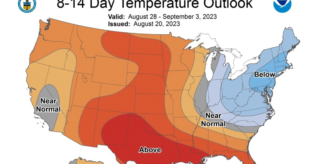 Weather Roller Coaster: Unusual August Temperatures Bring Hazy Sunday and Summer Heat