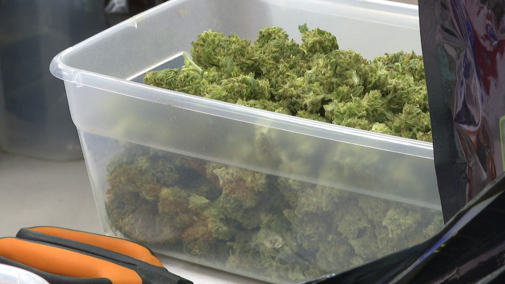 Featured image for Expanding Cannabis Market: New York Approves More Shops and Sales at Events