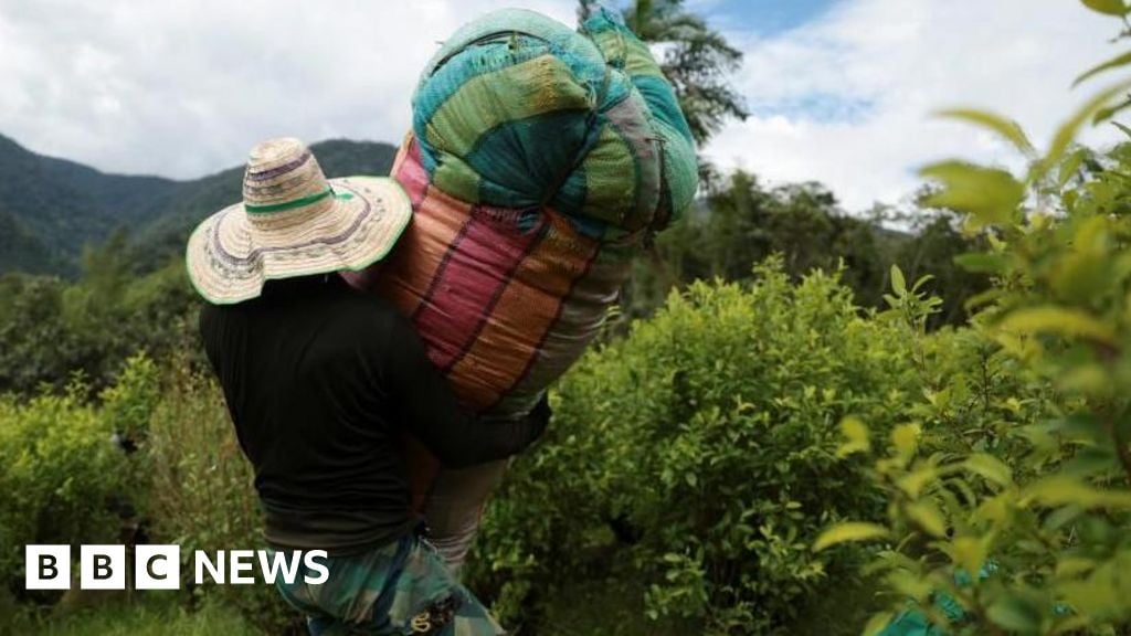 Featured image for US Criticizes Colombia's Drug War Efforts Amid Continued Support