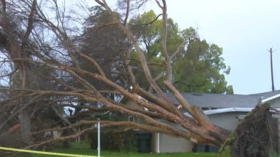 Featured image for "Storm aftermath: Sacramento's Tree Damage and Power Outages"