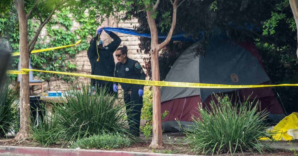 Arrest Made in Davis Serial Stabbing Case.