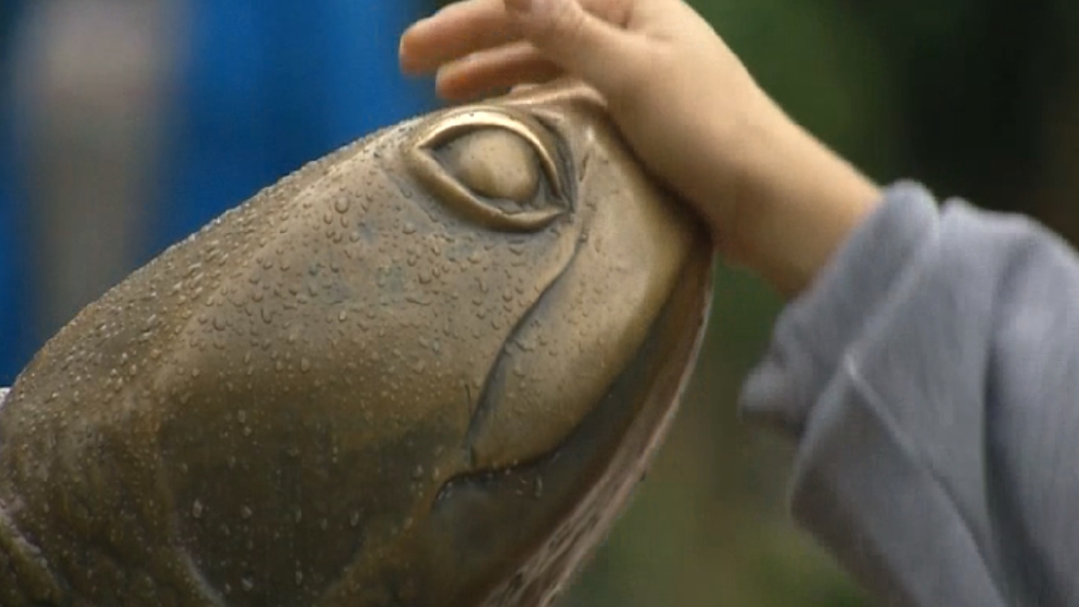 Featured image for "University of Maryland Takes Action Against Fraternities and Sororities Over Safety Concerns"