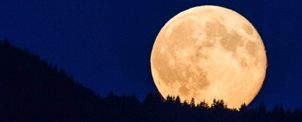 Featured image for Final Supermoon of 2023: September's Full Harvest Moon Illuminates the Sky