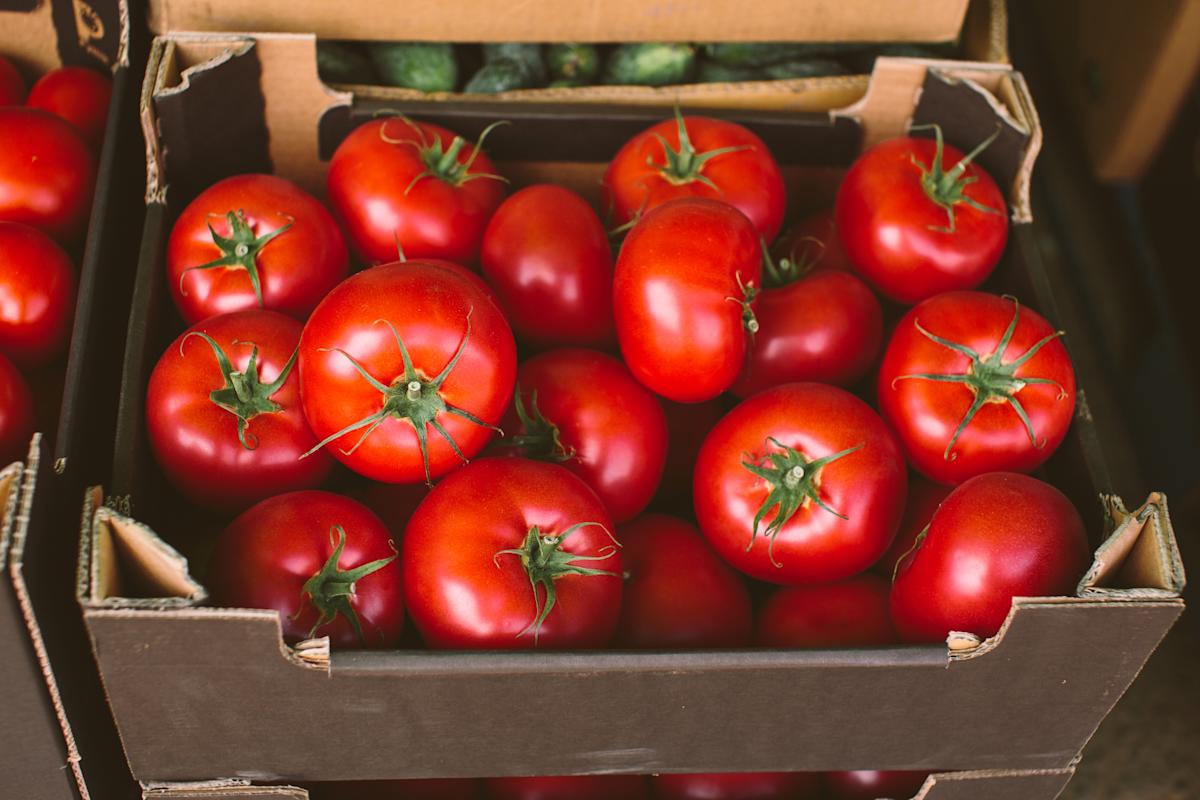 FDA Raises Tomato Recall to Highest Risk Level Over Salmonella Threat