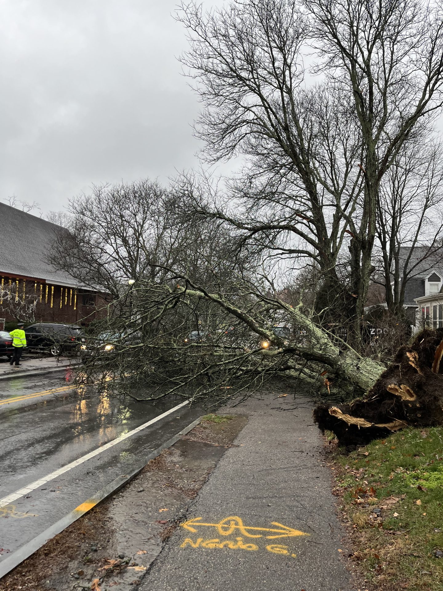 Featured image for Wellesley Ravaged by Devastating Storm