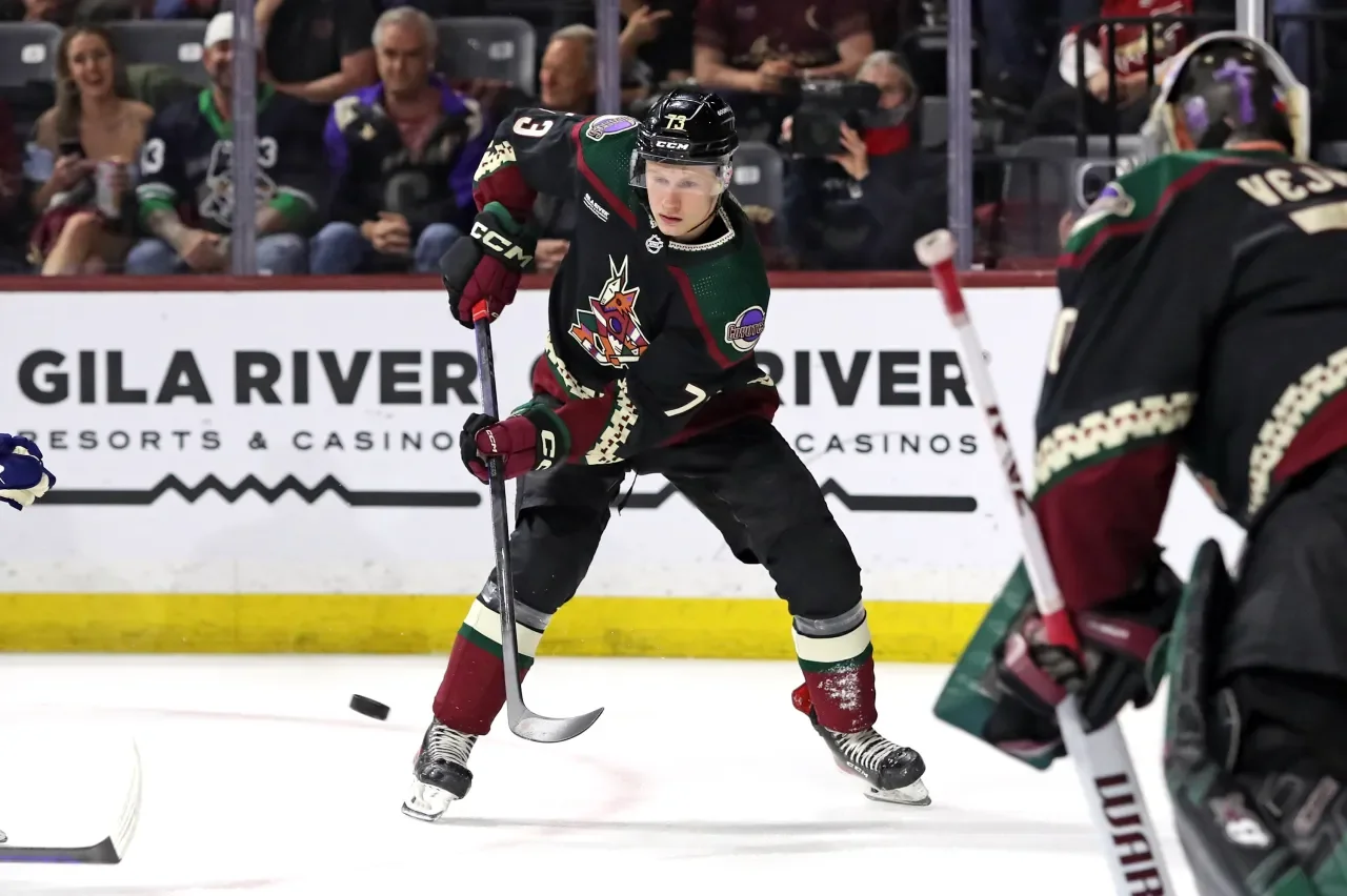 Arizona Coyotes' Future in Limbo: Exploring Possible Relocation Options