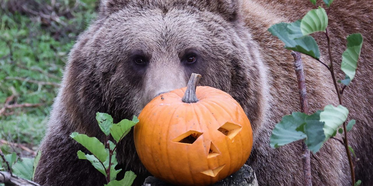 Featured image for "Analyzing U.S. Stock-Market Seasonality: Is a Fourth Quarter Rally on the Horizon?"