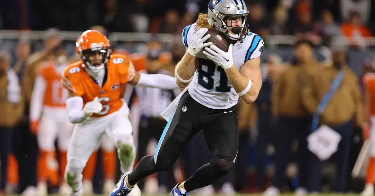 Carolina Panthers TE Hayden Hurst Diagnosed with Scary Brain Injury