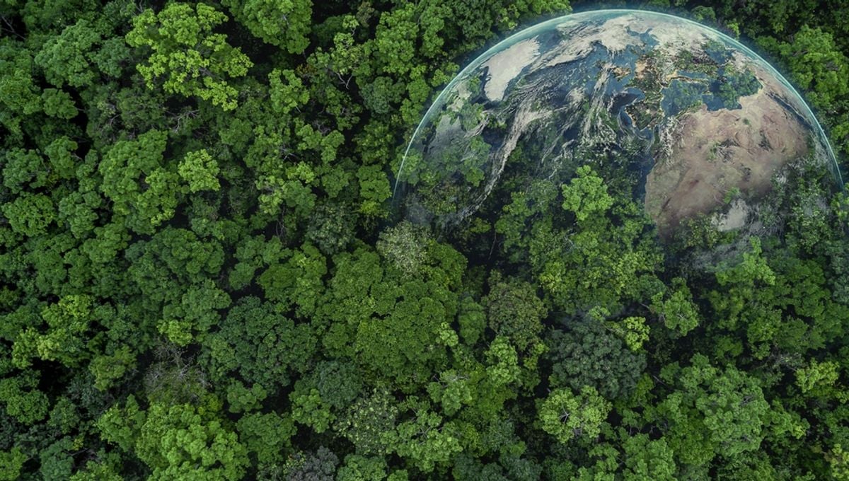 Featured image for "The Total Amount of Life on Earth Throughout History"