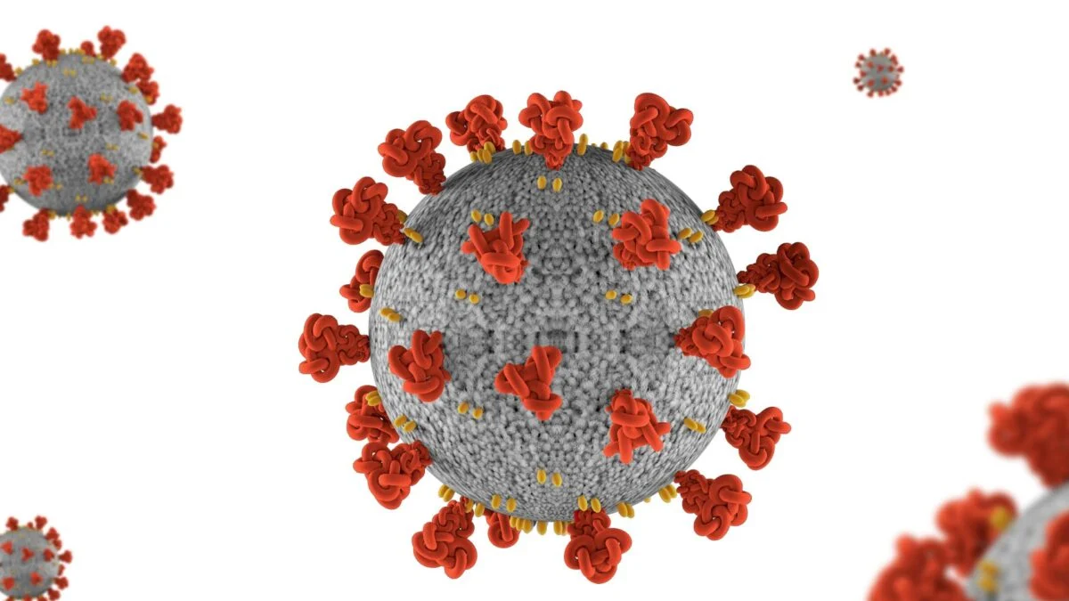 Featured image for Study Reveals Ongoing Covid-19 Death Toll in the US