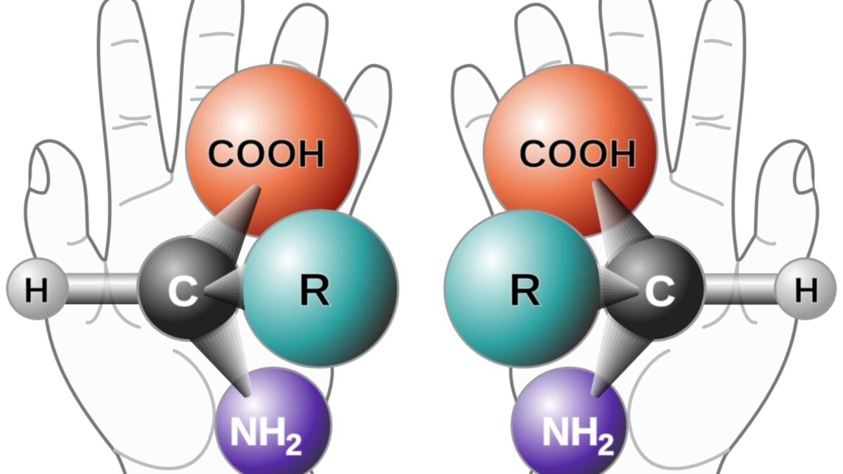 Featured image for Scientists Address Doomsday Threats of 'Mirror Life'