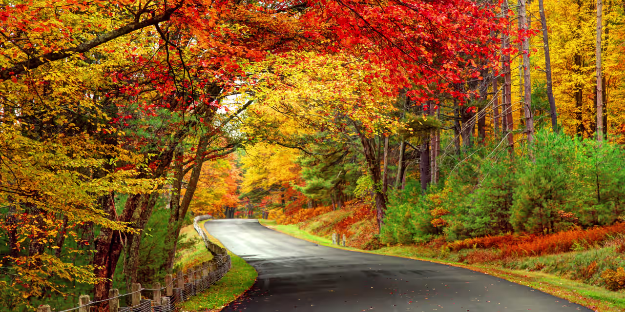 Featured image for U.S. Stock Futures Rise as November Begins with Optimism