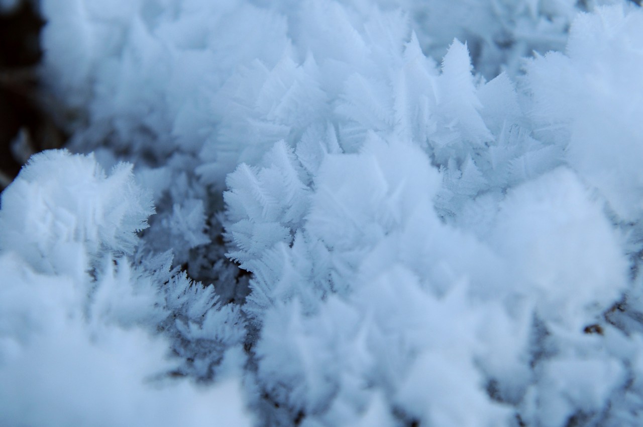 Featured image for "Essential Tips for Protecting Your Pipes During Winter Weather"