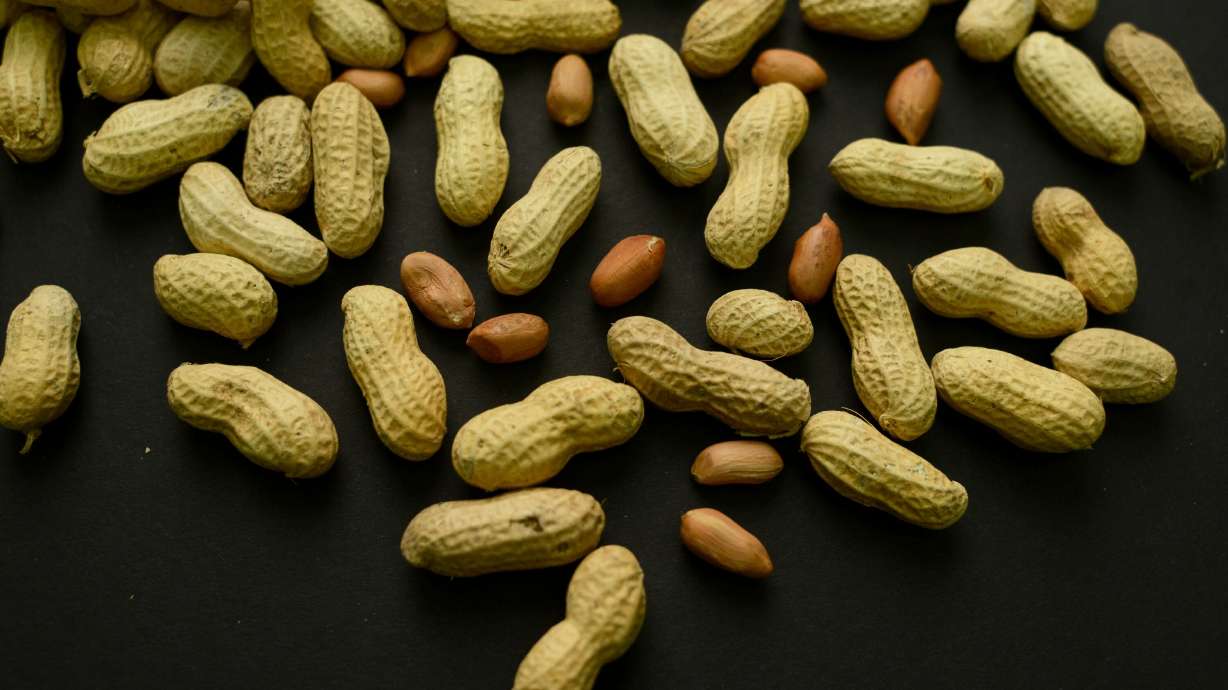 Featured image for Early Peanut Exposure Reduces Allergy Risk in Children