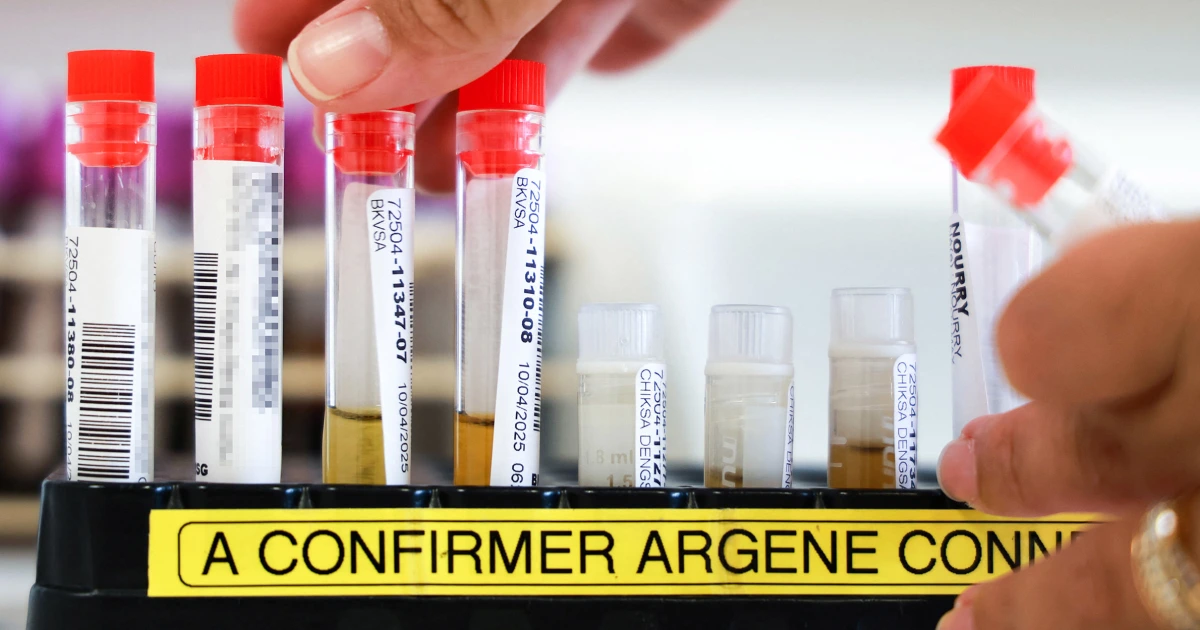 Featured image for New York Reports First Local Chikungunya Case in Six Years