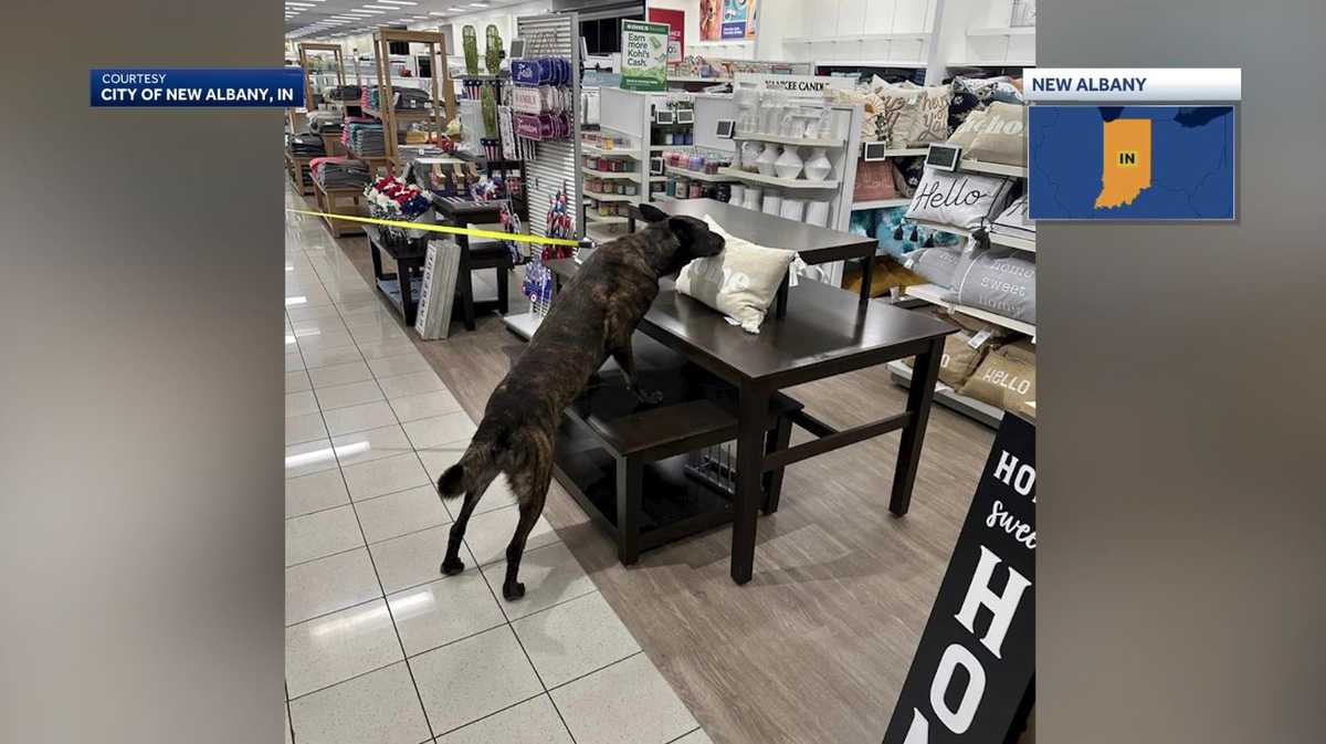 Bomb threats force multiple Kohl's store evacuations in Wisconsin and beyond.