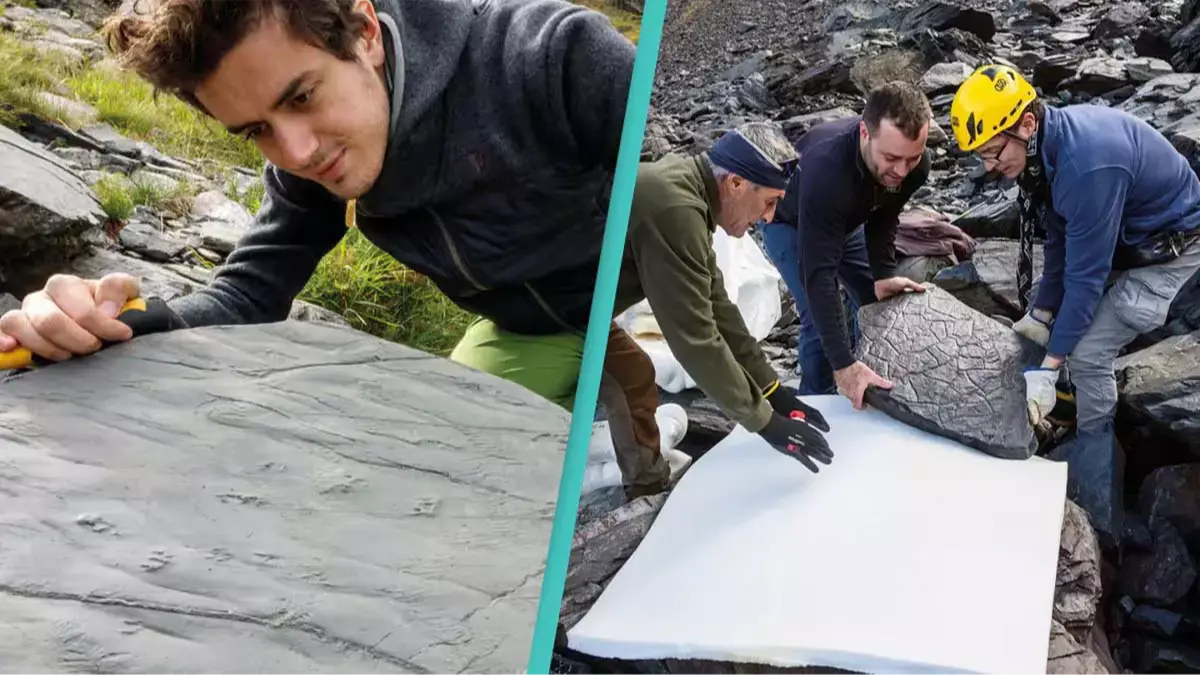 Hiker Unveils 280-Million-Year-Old Prehistoric World in Italian Alps